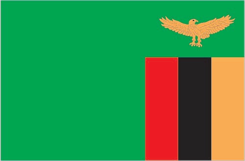 Zambia Flag